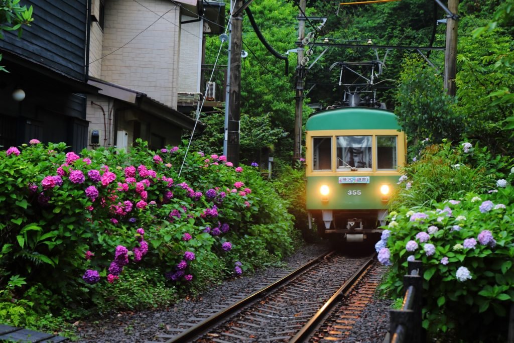 ⛩️ 고료 신사 이미지 3